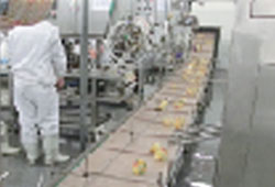 工廠調(diào)查 2/2